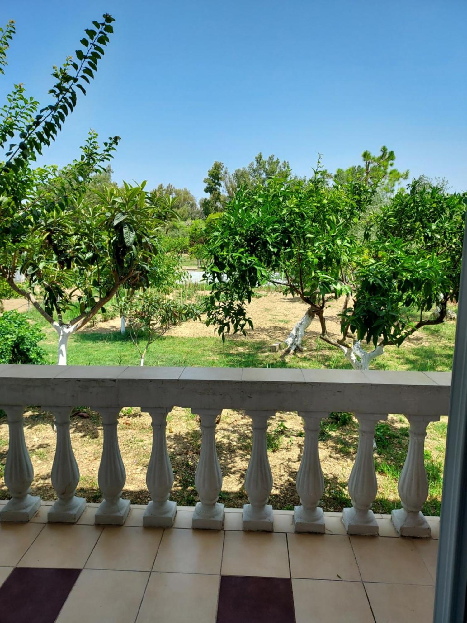 Canditas Studios Tsilivi  Exterior foto