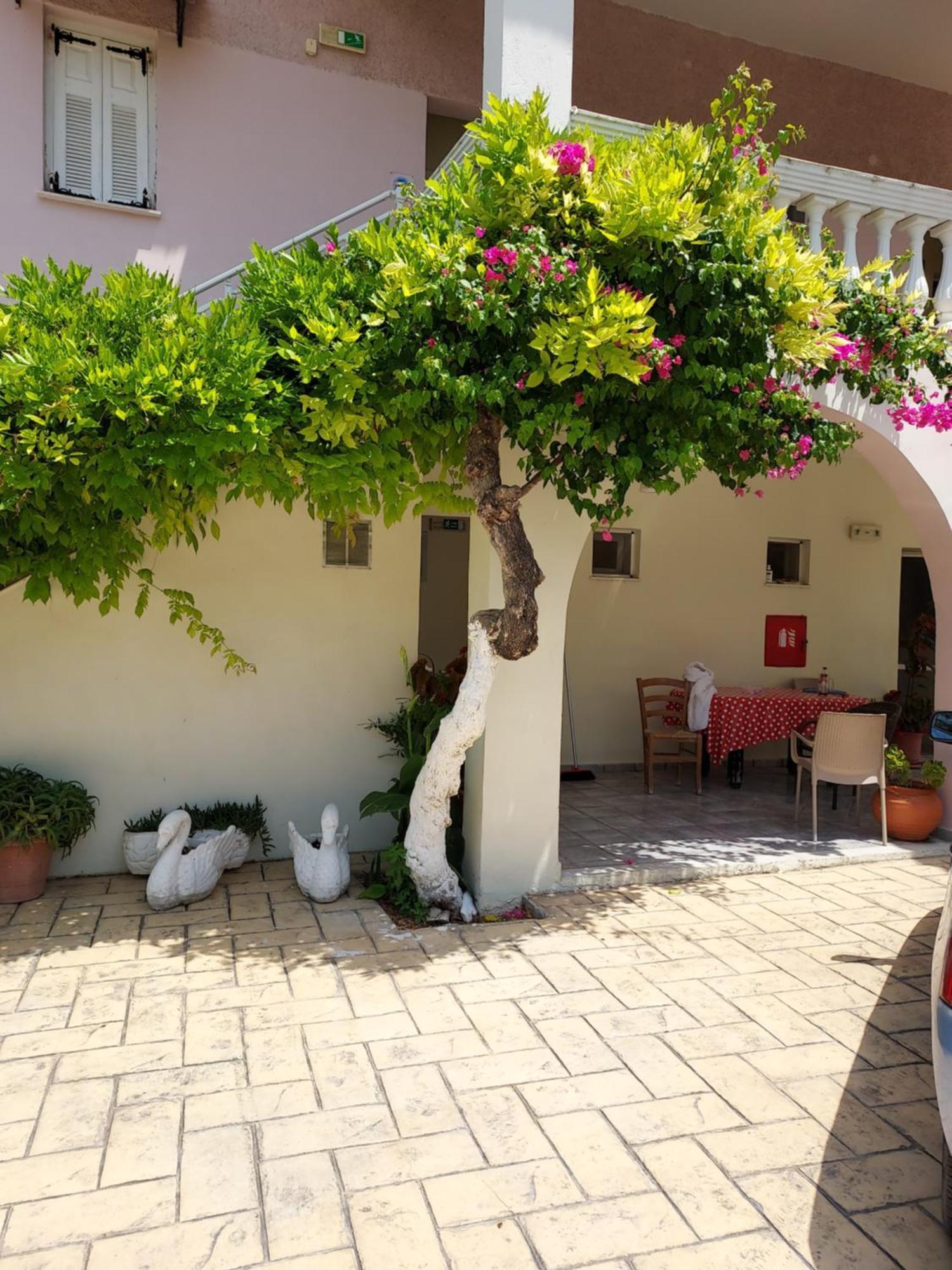 Canditas Studios Tsilivi  Exterior foto